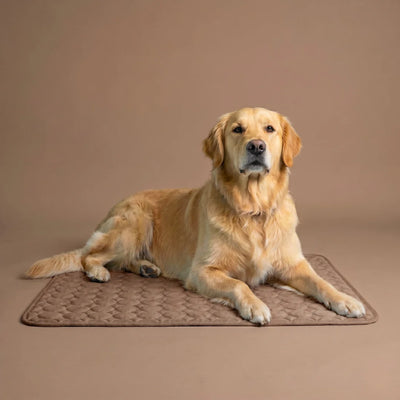 Elavo Cooling Pad